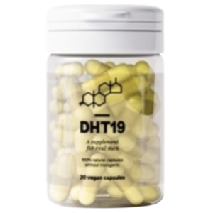 DHT19